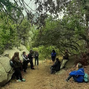 Parque Nacional Rio Clarillo