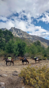 Cajón del Achibueno