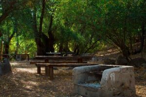 mejores camping cajon del maipo