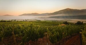 Chilean wine regions