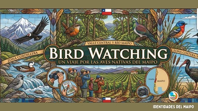 Birdwatching